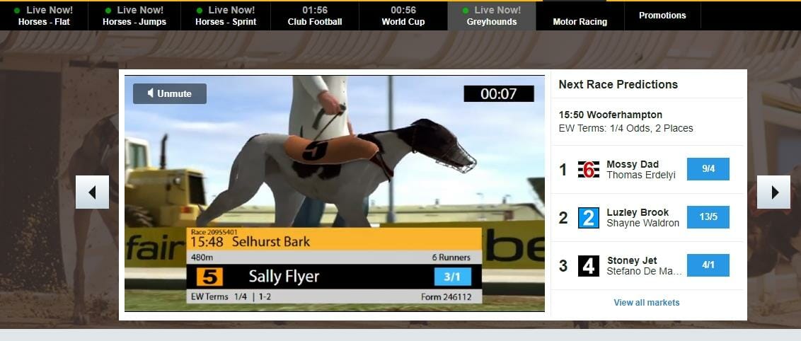 Virtual Greyhound 'Sally Flyer' displayed at odds of 3/1 at Betfair